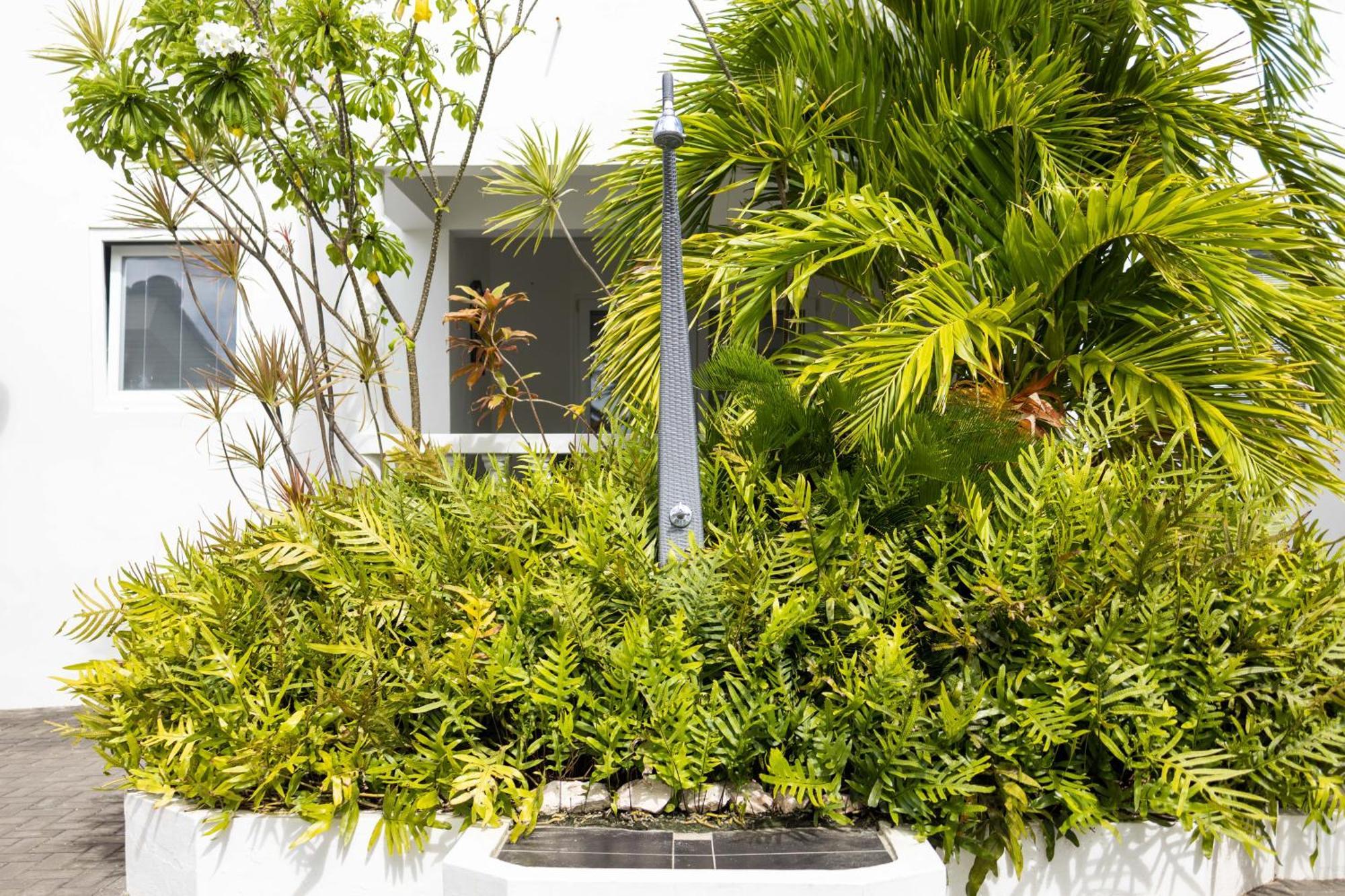 Palm Crest Apartamento Jan Thiel Exterior foto
